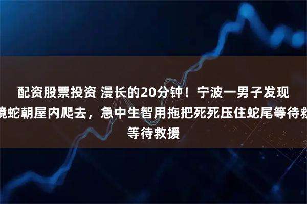 配资股票投资 漫长的20分钟！宁波一男子发现眼镜蛇朝屋内爬去，急中生智用拖把死死压住蛇尾等待救援